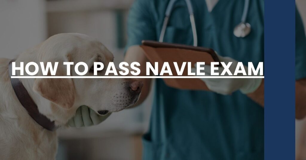 How To Pass NAVLE Exam Feature Image