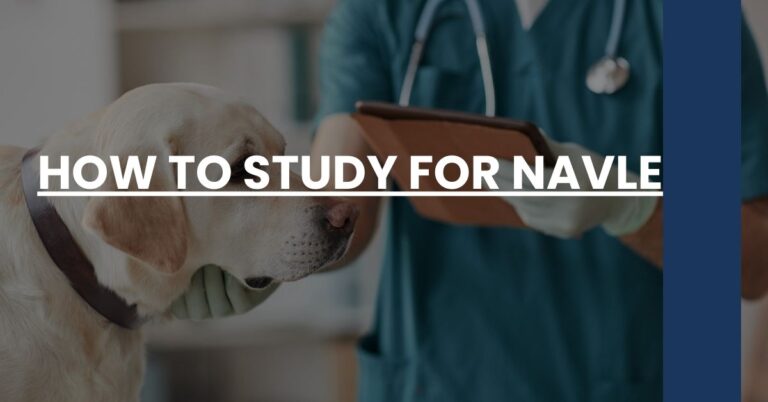 How To Study For NAVLE Feature Image