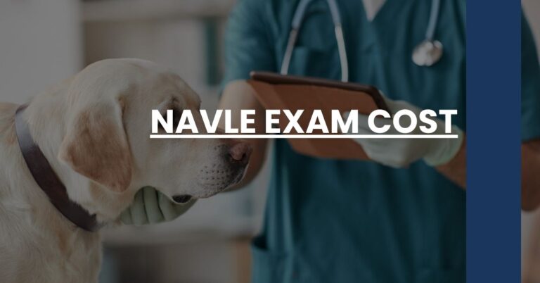 NAVLE Exam Cost Feature Image