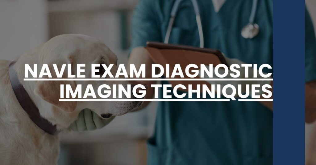 NAVLE Exam Diagnostic Imaging Techniques Feature Image