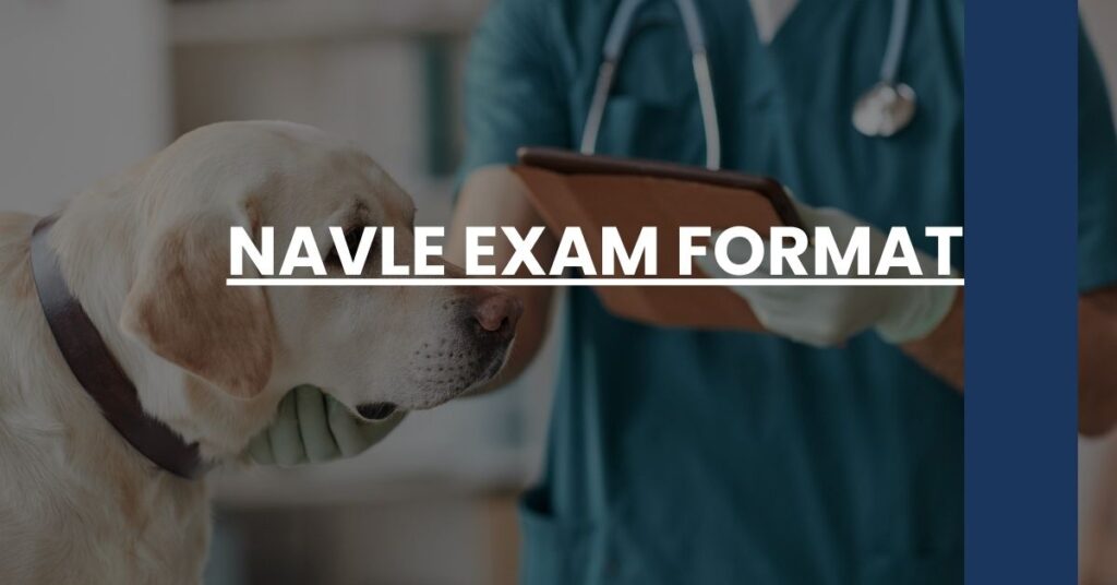 NAVLE Exam Format Feature Image