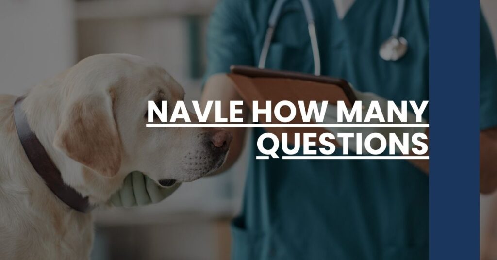 NAVLE How Many Questions Feature Image