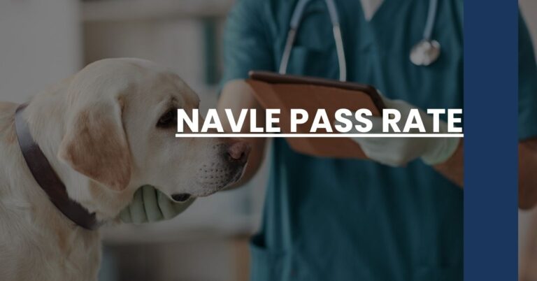 NAVLE Pass Rate Feature Image