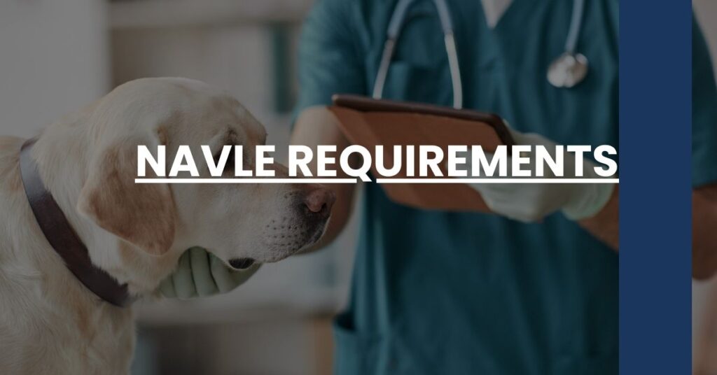 NAVLE Requirements Feature Image