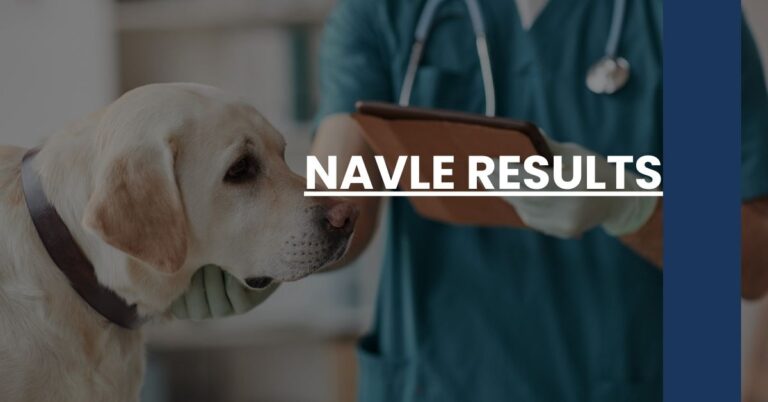 NAVLE Results Feature Image