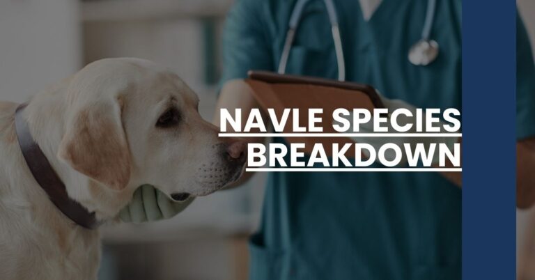 NAVLE Species Breakdown Feature Image