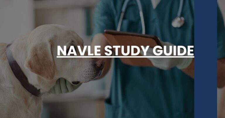 NAVLE Study Guide Feature Image