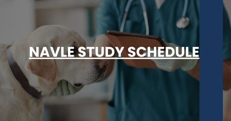 NAVLE Study Schedule Feature Image