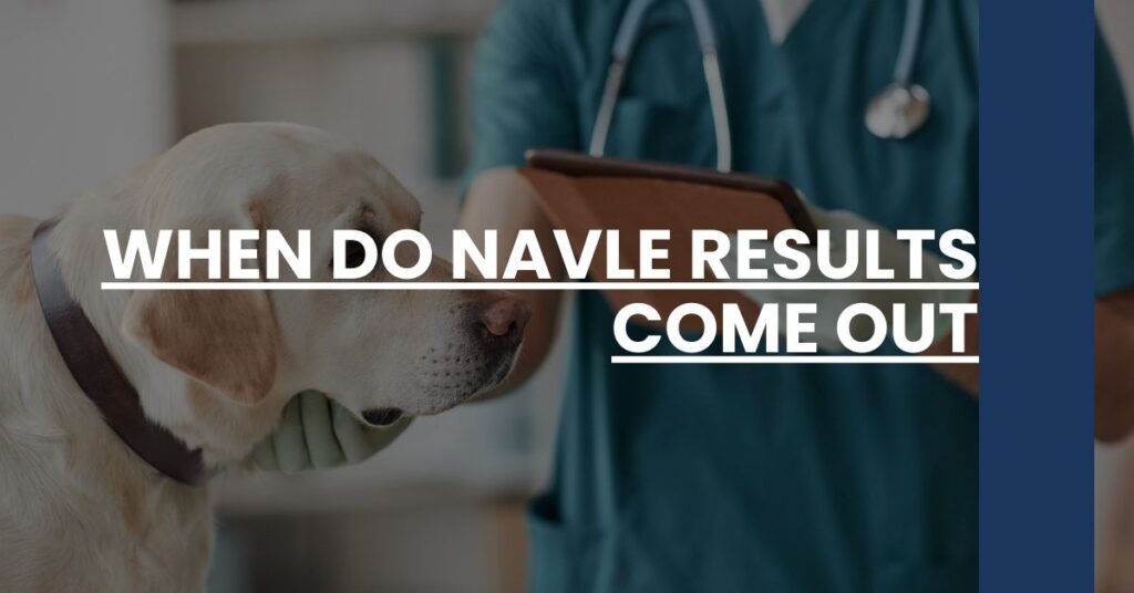 When Do NAVLE Results Come Out Feature Image