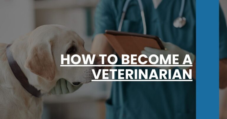 How to Become a Veterinarian Feature Image