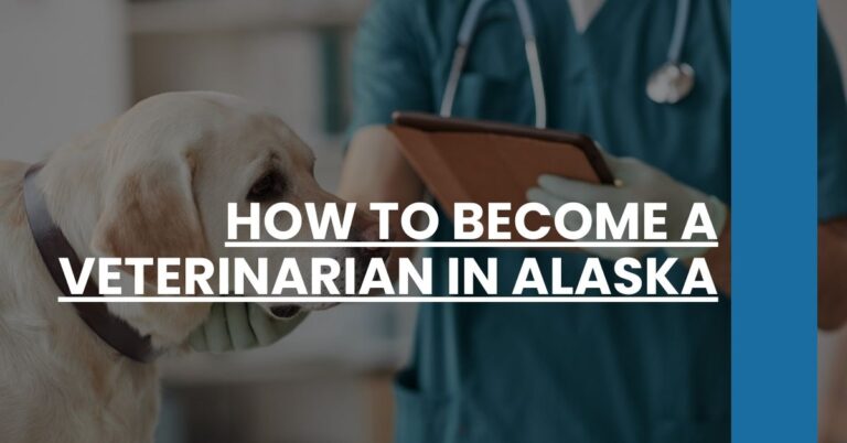 How to Become a Veterinarian in Alaska Feature Image