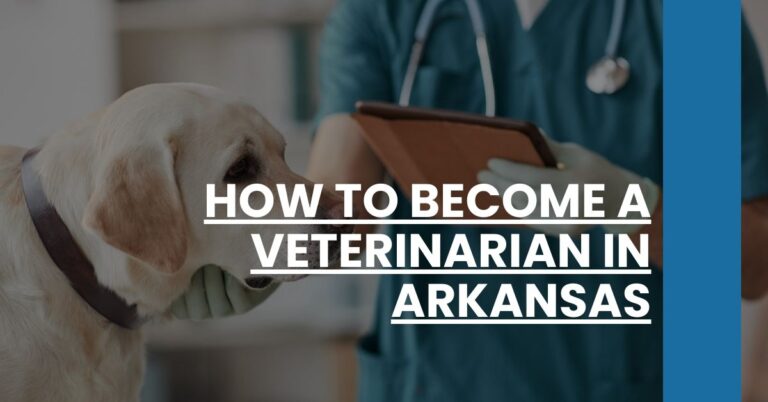 How to Become a Veterinarian in Arkansas Feature Image