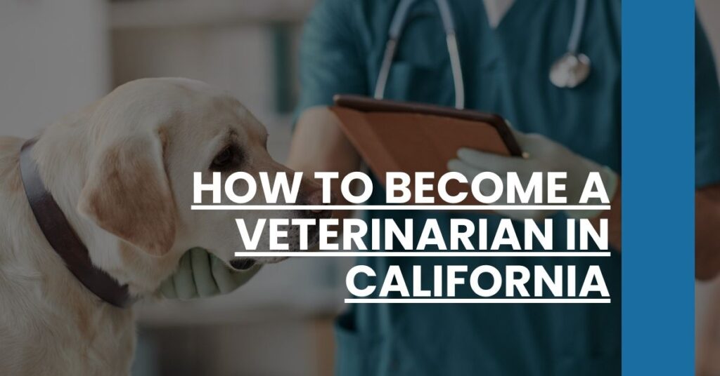 How to Become a Veterinarian in California Feature Image