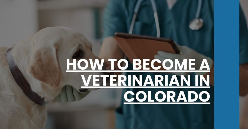 How to Become a Veterinarian in Colorado Feature Image