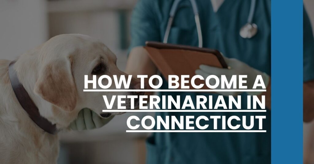 How to Become a Veterinarian in Connecticut Feature Image