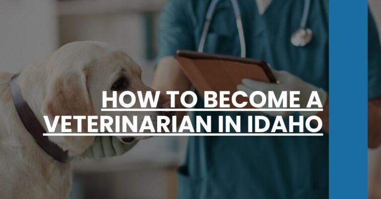 How to Become a Veterinarian in Idaho Feature Image