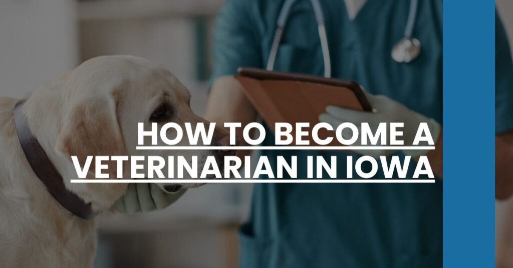 How to Become a Veterinarian in Iowa Feature Image