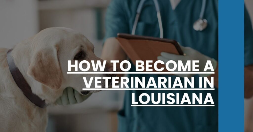 How to Become a Veterinarian in Louisiana Feature Image