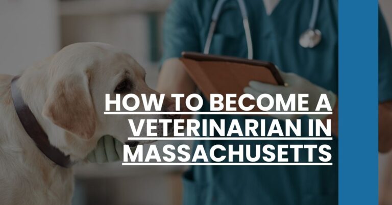 How to Become a Veterinarian in Massachusetts Feature Image