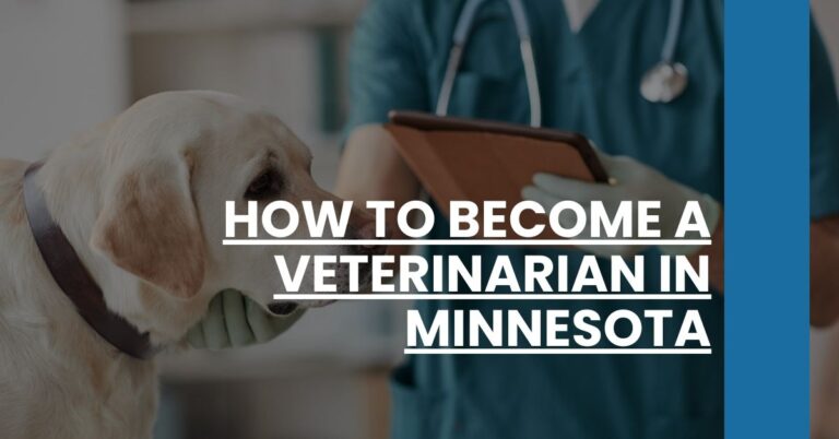 How to Become a Veterinarian in Minnesota Feature Image