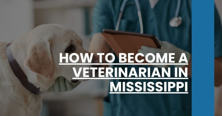 How to Become a Veterinarian in Mississippi Feature Image