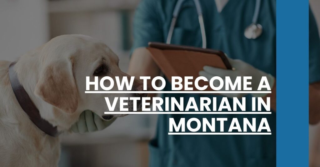 How to Become a Veterinarian in Montana Feature Image