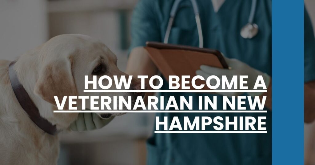 How to Become a Veterinarian in New Hampshire Feature Image