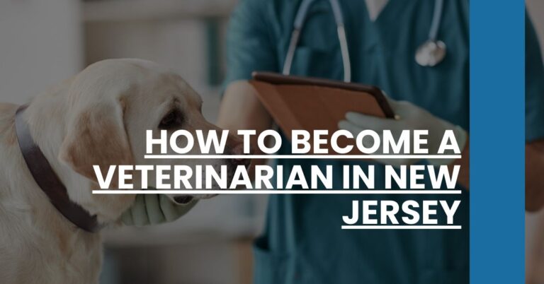 How to Become a Veterinarian in New Jersey Feature Image