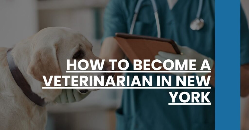 How to Become a Veterinarian in New York Feature Image