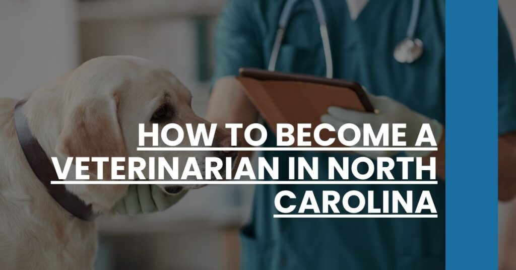 How to Become a Veterinarian in North Carolina Feature Image