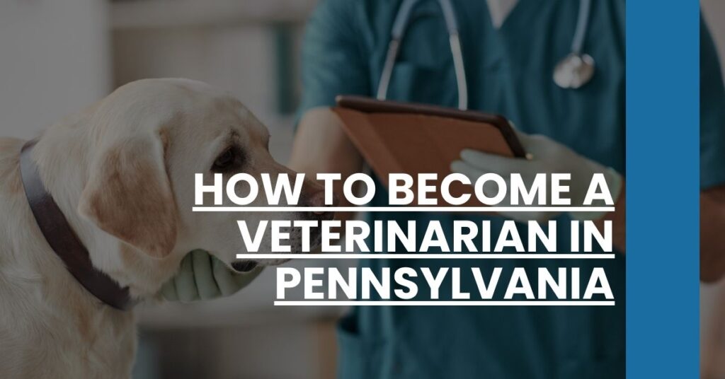 How to Become a Veterinarian in Pennsylvania Feature Image