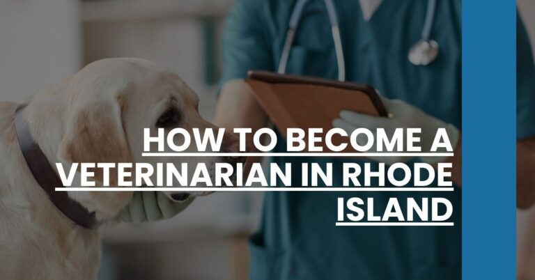 How to Become a Veterinarian in Rhode Island Feature Image