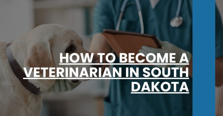 How to Become a Veterinarian in South Dakota Feature Image