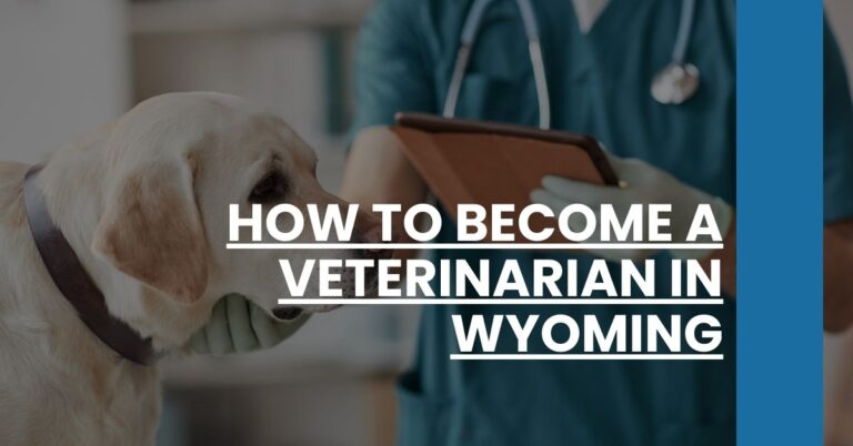 How to Become a Veterinarian in Wyoming Feature Image