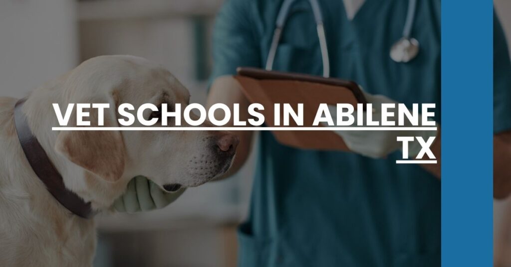 Vet Schools in Abilene TX Feature Image