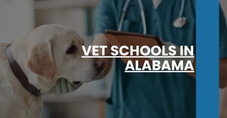 Vet Schools in Alabama Feature Image