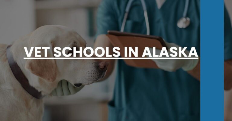 Vet Schools in Alaska Feature Image