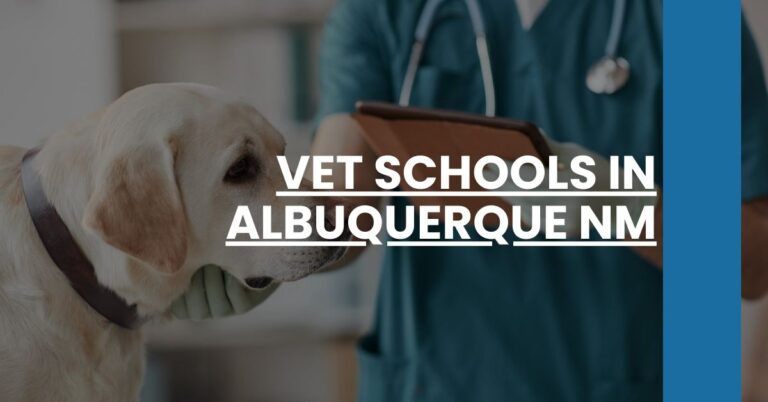 Vet Schools in Albuquerque NM Feature Image