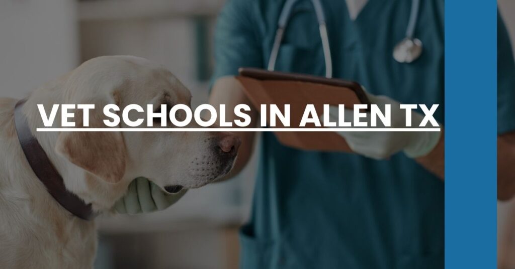 Vet Schools in Allen TX Feature Image