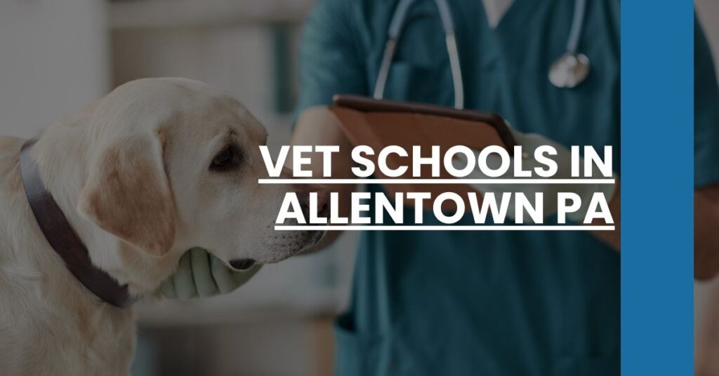 Vet Schools in Allentown PA Feature Image