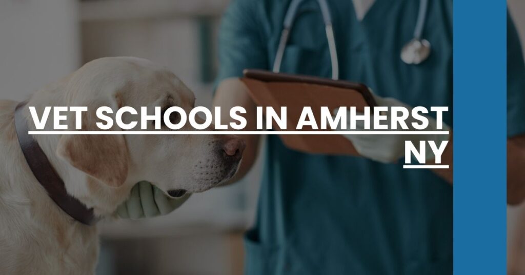 Vet Schools in Amherst NY Feature Image