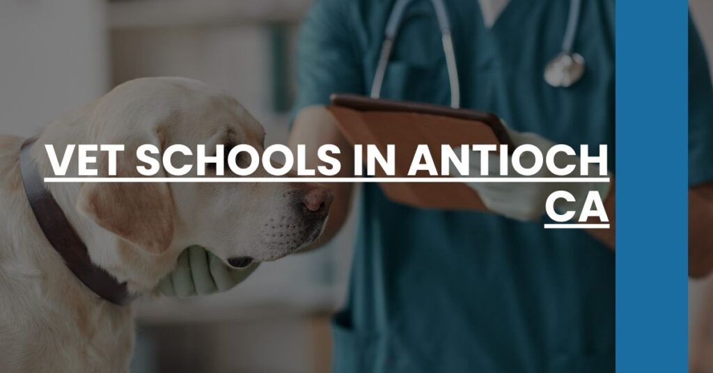 Vet Schools in Antioch CA Feature Image