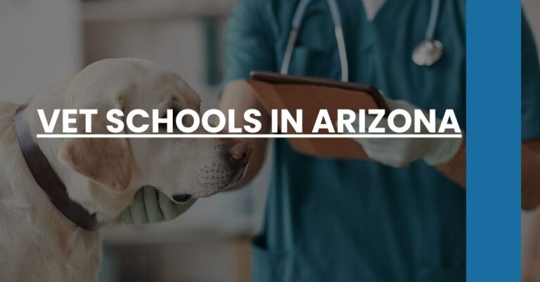 Vet Schools in Arizona Feature Image