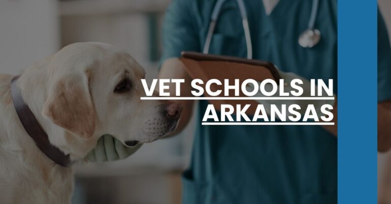 Vet Schools in Arkansas Feature Image