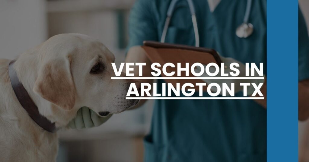 Vet Schools in Arlington TX Feature Image