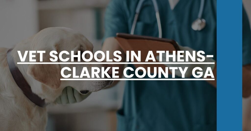 Vet Schools in Athens-Clarke County GA Feature Image