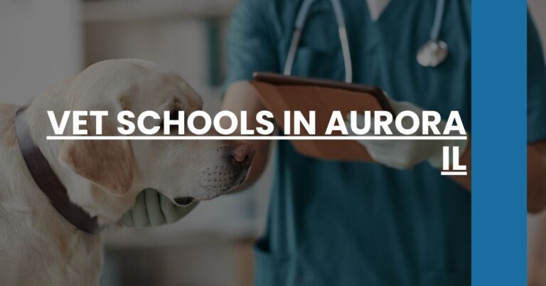 Vet Schools in Aurora IL Feature Image