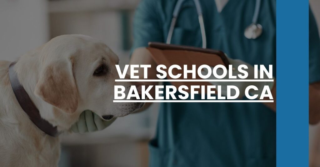 Vet Schools in Bakersfield CA Feature Image