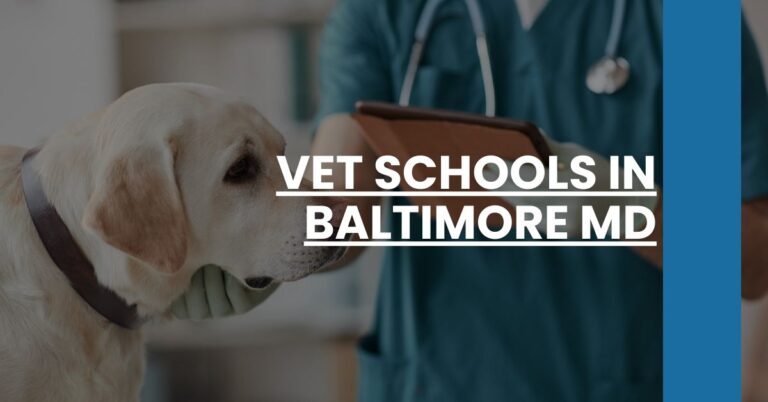 Vet Schools in Baltimore MD Feature Image