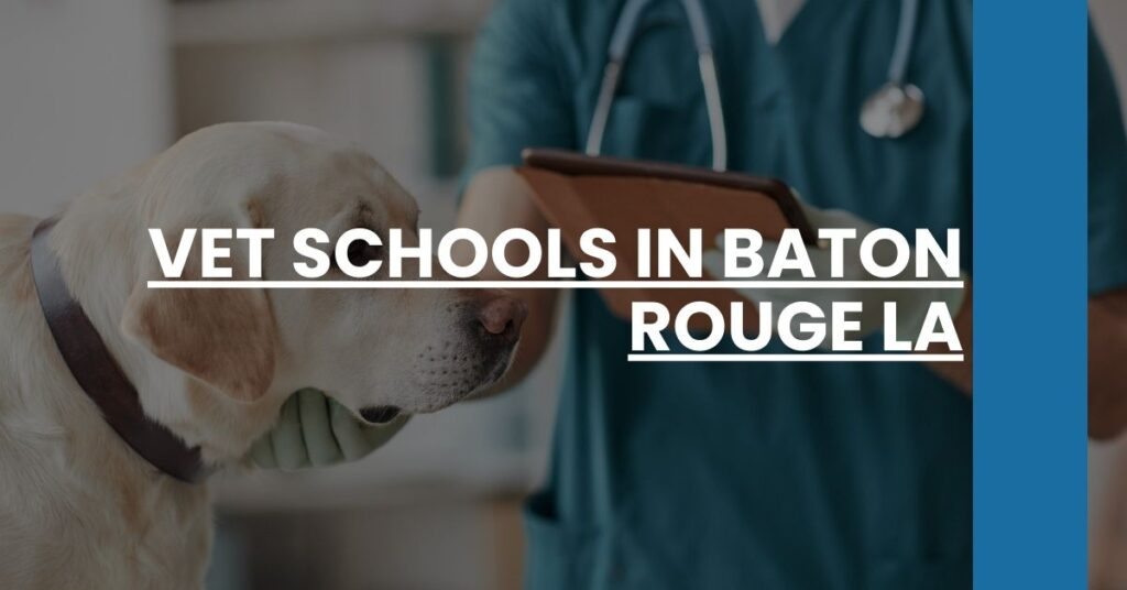 Vet Schools in Baton Rouge LA Feature Image